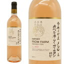 山形 かみのやま メルロ＆カベルネ ソーヴィニヨン ロゼ 2021 山形県上山市産100％ 年産わずか1,236本 サントリー テロワール シリーズ