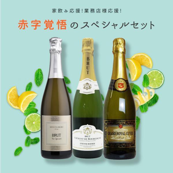 【送料無料】【残り9本まで同梱可】家飲み応援！業務店様応援！コロナに負けるな！ワインの玉手箱厳選！赤字覚悟の応援スペシャルセット ワインセット