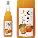 【正規品 1800ml】世界一統 和歌のめぐみ 有田のみかん酒 ハードリカー 日本 1.8L 1800ml 1．8L