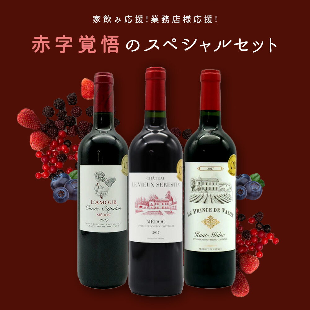 【残り9本まで同梱可】【送料無料】ワイン 赤ワイン ワインセット 家飲み応援！業務店様応援！コロナに負けるな！ワインの玉手箱厳選！赤字覚悟の応援スペシャル赤ワインセット(ボルドー・メドックセット)