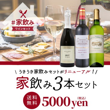 ワインセット うきうきワインの玉手箱厳選 高級ボルドーの金賞メドック入り！ 家飲み ワイン 赤 白 スパークリング ワインセット 送料無料