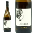 Vy 2021 oi h[k  tBGt m[l Vi u100% Rh rI @ i`[ AOCAWL'echappee 2021 Domaine Le Fief Noir Chenin blanc100% AOC Anjou