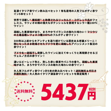 ワインセット 濃旨 イタリア赤ワイン 飲み比べセット 2020年冬春バージョン 送料無料 代引き手数料無料