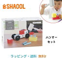 【送料無料】コロンブスのつみき ハンマーセット SHAOOL シャオール ハンマー 組立て 大工 ブロック ベビー キッズ プレゼント 3歳 4歳 5歳 人気 おすすめ こども 子供 子ども 知育玩具 おもちゃ 積木 つみき プラスチック 形 ギフト 御祝い 脳トレ かたち 創造力