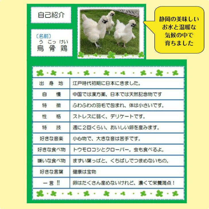 鳥骨鶏の卵 40個 うこっけい 贈り物 ギフト プレゼント 送料無料 静岡県産 たまご 高級卵 お歳暮 お中元 国産 卵かけご飯 生たまご 天然記念物 3