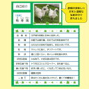 鳥骨鶏の卵 20個 うこっけい 贈り物 ギフト プレゼント 静岡県産 たまご 高級卵 お歳暮 お中元 国産 卵かけご飯 烏骨鶏卵 ウコッケイ