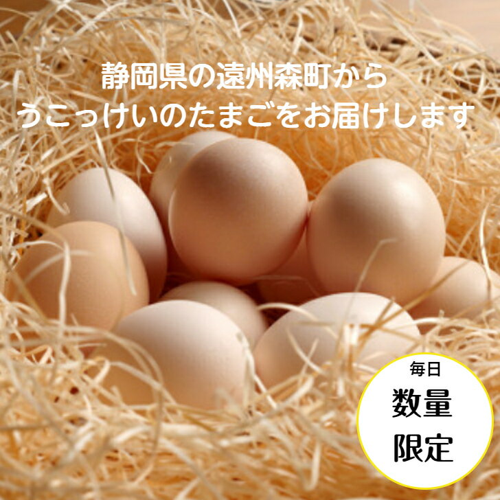 鳥骨鶏の卵 40個 うこっけい 贈り物 ギフト プレゼント 送料無料 静岡県産 たまご 高級卵 お歳暮 お中元 国産 卵かけご飯 生たまご 天然記念物 2