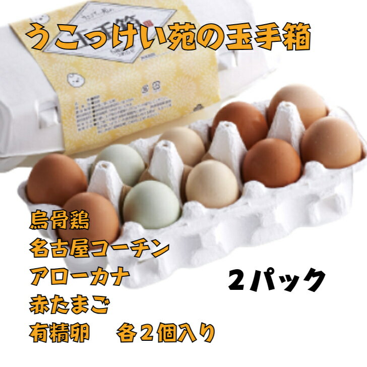 鳥骨鶏の卵入り 玉手箱 2パック 烏骨鶏 烏骨鶏卵 名古屋コーチン 名古屋コーチン卵 アローカナ アローカナ卵 赤たまご 赤卵 有精卵 各1パックにつき2個入り