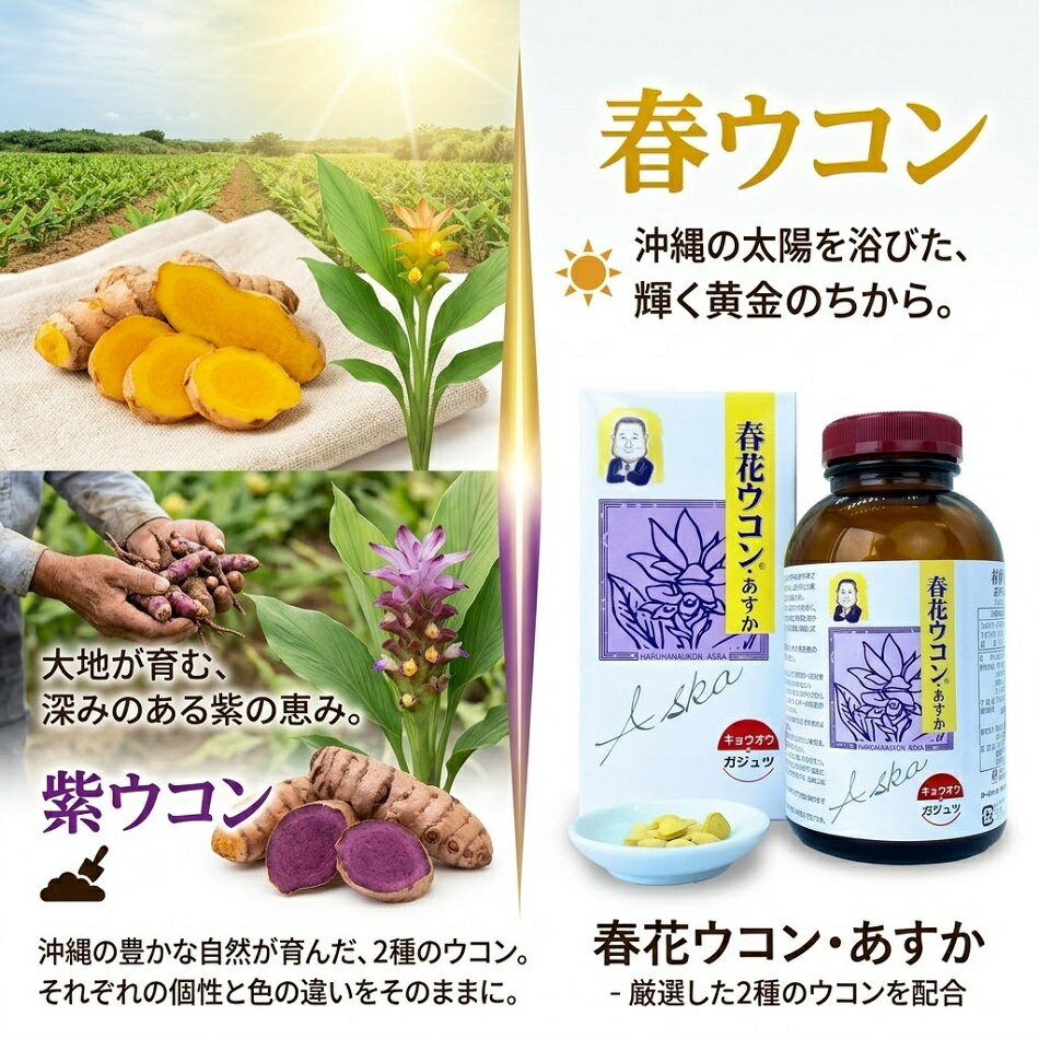 春ウコン 紫ウコン 春花ウコンあすか 粒タイプ 200g（200mg×1000粒入) 瓶入り ウコ...