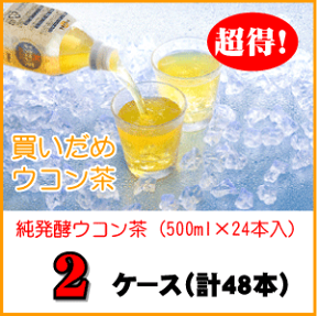 純・発酵ウコン茶(500ml×24本)×2ケース【まとめ買いSALE】【あす楽対応】【送料無料】 【HLS_DU】【RCP】【最安値挑戦】10P01Mar1510P01Oct16