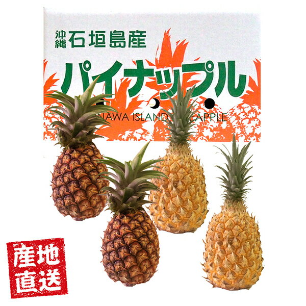 【6月上旬までの限定販売】食べ比べセット 産地直送 石垣産 スナックパイン＆ピーチパイン 2kg 2～3玉 / 3kg 3～5玉 【送料無料】沖縄特産 国産 フルーツ おいしい 美味しい 高級 ギフト お中…