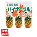 【6月中旬〜7月下旬頃までの限定販売】産地直送 石垣島産 島パイン(ハワイ種) 2kg(2〜3玉)/ 3kg(3〜5玉)【送料無料】沖縄特産 国産 フルーツ お...