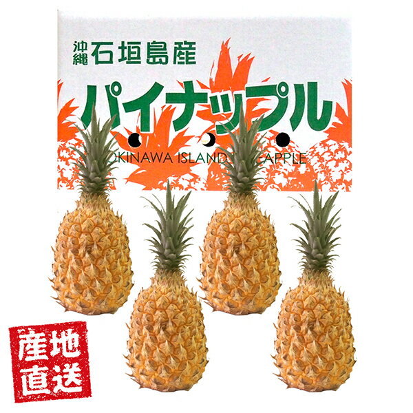 【6月上旬までの限定販売】産地直送 石垣島産 スナックパイン 2kg 2～3玉 / 3kg 3～5玉 【送料無料】沖縄特産 国産 フルーツ おいしい 美味しい 高級 ギフト お中元 贈り物 果物 のし 熨斗 御…