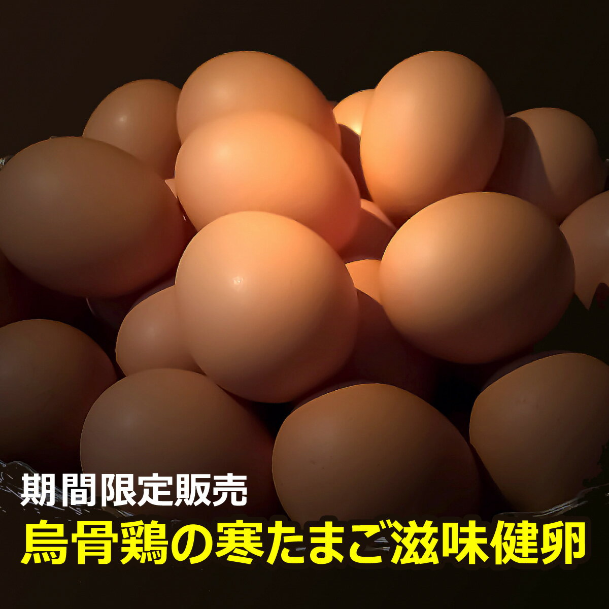 �ڴ��ָ���۱����ܴ����ޤ��ּ�̣����� �����ޤ� ���� ���� ������ ̵��©�� ��̣���� ������ �� �����ä��� / �����å��� / ���ޥ� �� ������ ��...