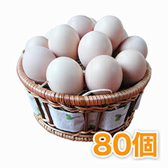 烏骨鶏の卵　（うこっけいのたまご｜ウコッケイのタマゴ）　80個