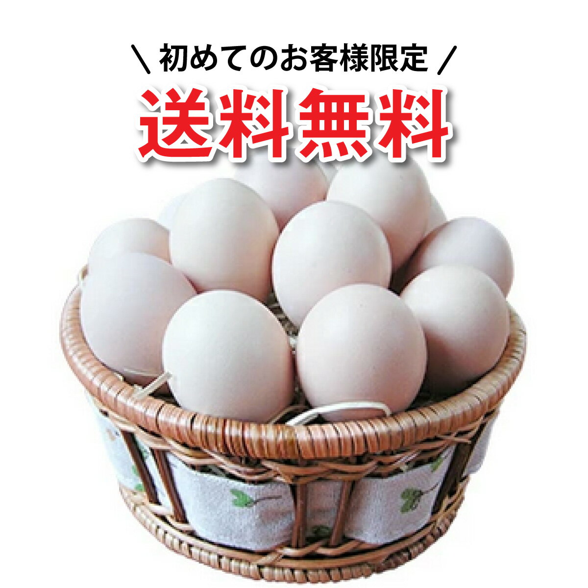 烏骨鶏本舗 烏骨鶏卵モールド 10個入り×1箱 岐阜県 土産 人気 希少な烏骨鶏の卵 ビタミン・ミネラル・コリン