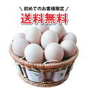 【初めての人限定】 【烏骨鶏卵お試し】 【 送料無料 】 【ご自宅用】 人気No1 「烏骨鶏の卵」 産卵数が少ない本来の烏骨鶏たまご （うこっけい / ウコッケイ / タマゴ） 烏骨鶏は品種改良していません 食用（孵化用ではありません） その1