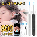 1980⇒1480!【即納】耳かき カメラ イヤースコープ 耳掃除 ライト 耳掻き ピンセットカメラ付き 耳そうじ 子供 みみかき 照明 介護耳かき 大人 赤ち...