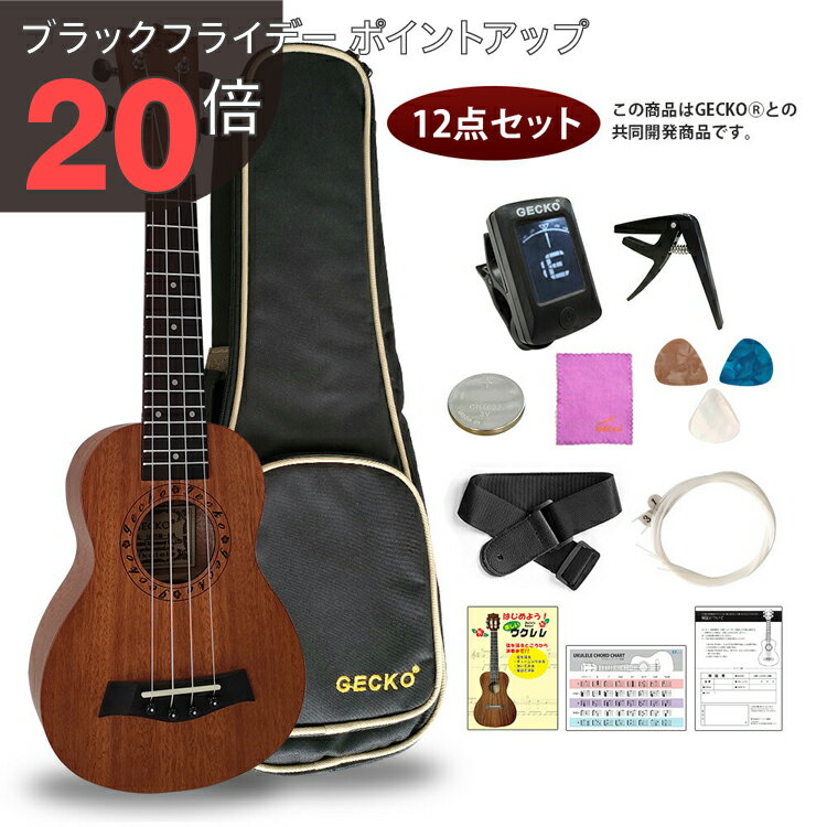 ڥ֥åե饤ǡ PO20ܡۥ 21 ץ ʥ륫顼 12 å 鿴 U21M (塼ʡ ԥå ȥå ...