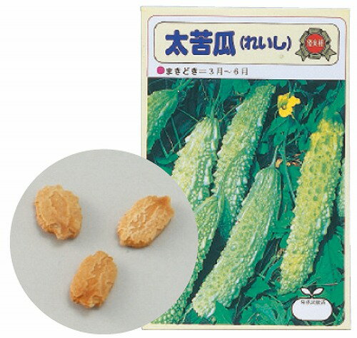 【 送料無料 】 アーテック ArTec 野菜の種 ツルレイシ ( 苦瓜 )