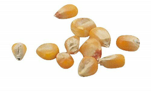 वΥǥ ŷԾŹ㤨֥ƥå ArTec ڤμ Ȥ   ٥֥  ع Ҷ ǥ˥ 䤵 θ ڱ ع ߵ٤ ع ͳ ľ ں ؽ  Ƶ٤  ʼפβǤʤ374ߤˤʤޤ