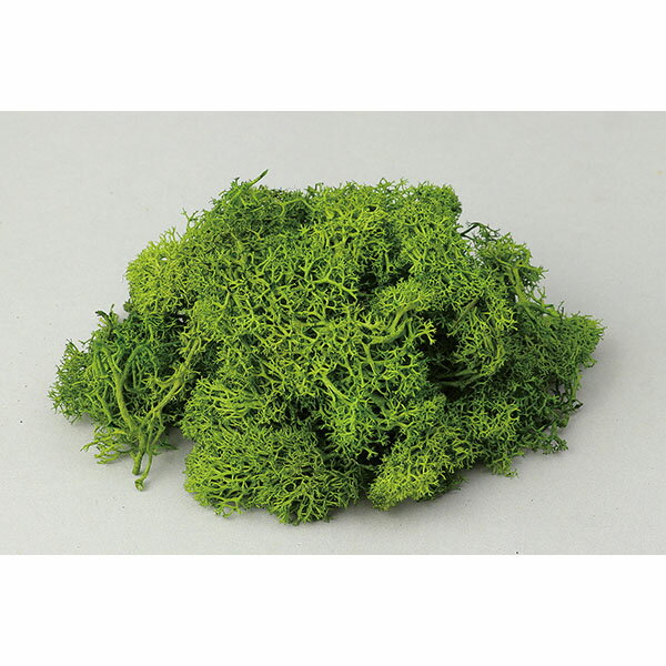 アーテック ArTec アイスランドモスフレッシュグリーン 自由工作 クラフト 図工 模型 アクアリウム 日..
