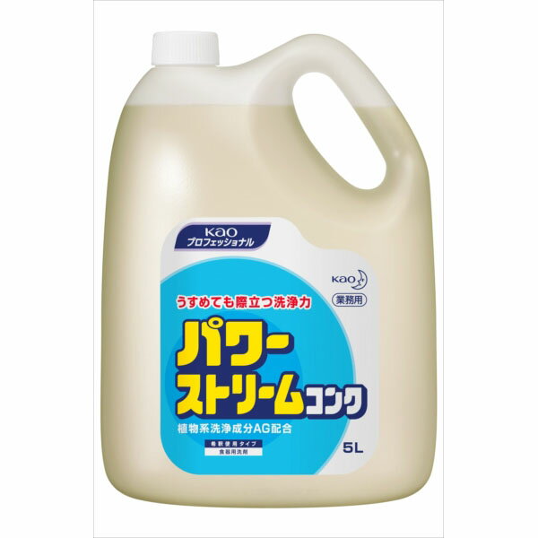 【2個セット】 パワーストリームコンク業務用5L 食器用洗剤