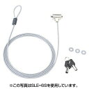 【2個セット】 サンワサプライ eセキュリティ SLE-9S おまとめセット 高品質
