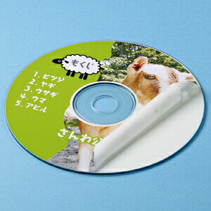 【3個セット】 サンワサプライ インクジェットDVD / CDラベル ( つやなしマット ) LB-CDR001N-100 DVDラベル 100枚 内径41mm マット紙 おまとめセット 高品質