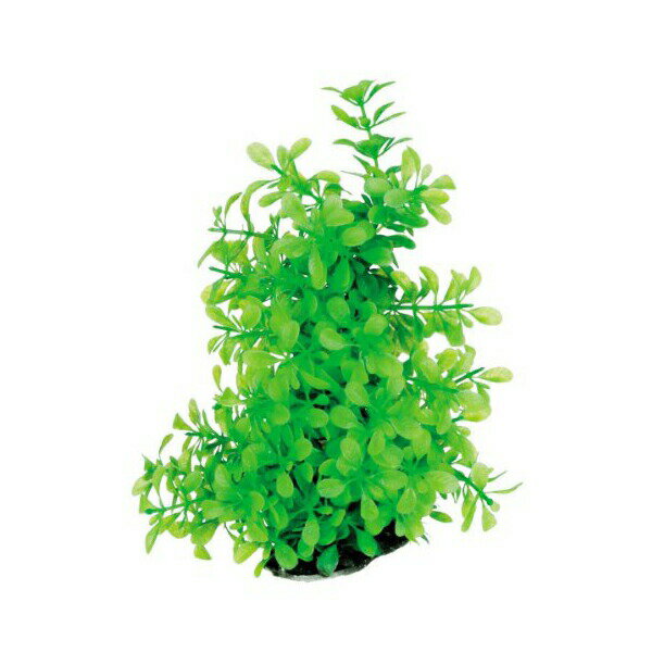 6ĥåȡ ڥȥ֥󥺥ѥ ƥȥ Tetra ե쥭֥ץ FP-2 ǮӵѾ޵ ꥦ ڥ...