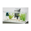 スペクトラムブランズジャパン Tetra テトラ メダカの繁殖を楽しむセット L 水槽アクアリウム 熱帯魚 メダカ 金魚 透明 全年齢 スペクトラム 飼育セット...