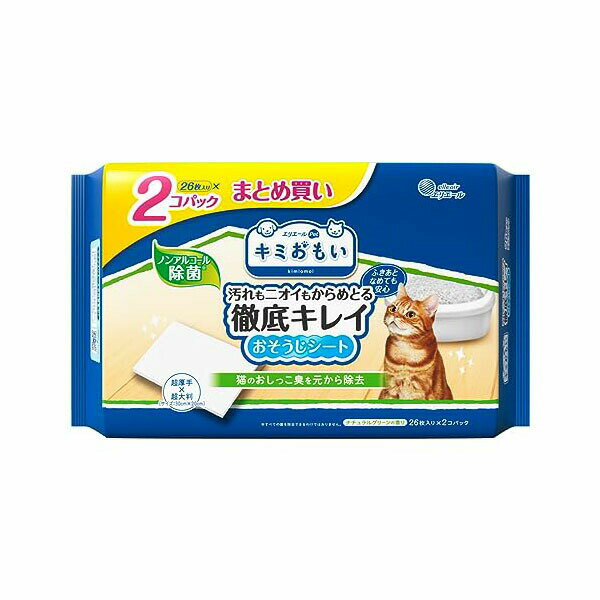 大王製紙 エリエールPet キミおもい 徹底キレイおそうじシート 大判厚手 ナチュラルグリーンの香り