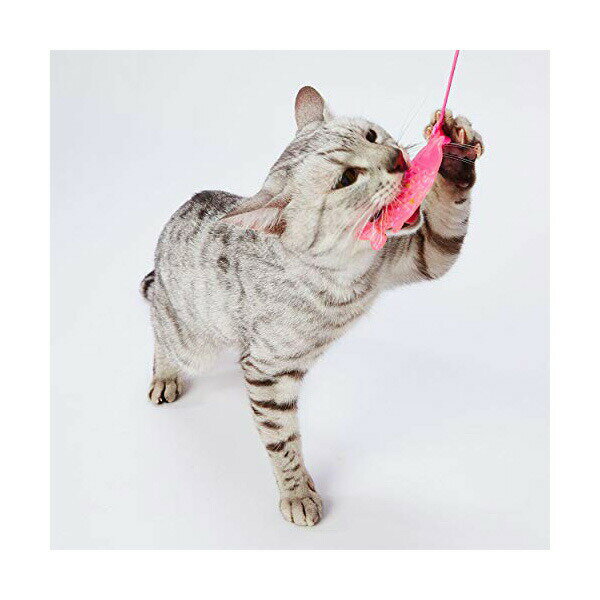 【3個セット】 ペティオ 猫用おもちゃ 仔猫用 はがためフィッシュ猫じゃらし 全猫種 Petio W26454 スト..