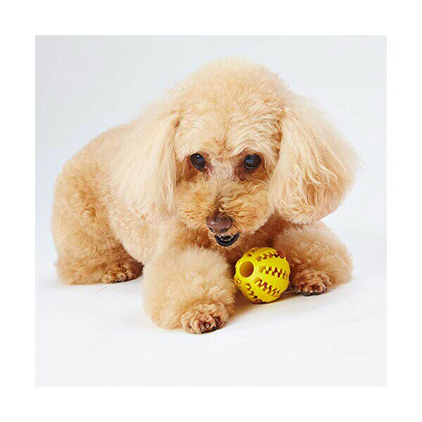 【3個セット】 ペティオ 犬用おもちゃ TREATS LOVER トリーツラバー ボール S 超小型犬から小型犬 Petio W26474 犬のおもちゃ ペット用品 デイリー 犬おもちゃ 犬用品 ドッグ 犬用玩具 長毛犬 全年齢 ペット 運動器具 犬用 おもちゃ 短毛犬 犬猫用品 玩具 厳選素材