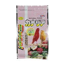 【12個セット】 ナチュラルペットフーズ エクセル カナリア 1.3kg 自然素材 鳥 全年齢 種 洋鳥フード 皮付き フード ペット 小鳥 厳選素材