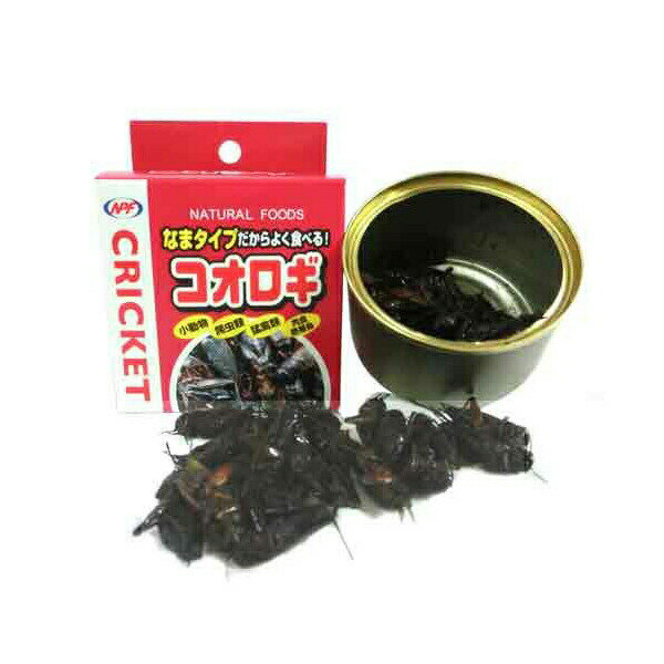 【3個セット】 ナチュラルペットフーズ NPF コオロギ ( 缶入り ) 40g