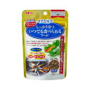 【3個セット】 ジェックス メダカ元気 いつでも食べられるフード浮上性 15g 内容量 GEX 熱帯魚用フード メダカ専用 メダカの餌 エサ めだか 設定なし 観賞魚 フード 浮上性 熱帯魚用 ペット 厳選素材