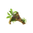 ジェックス 癒し水景 水草付き流木 ニードル 本体サイズ 約幅15×奥行12×高さ12cm GEX 観賞魚用品 アクセサリー アクアリウム 水槽用品 熱帯魚 水...