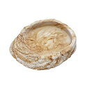【3個セット】 スドー レプティボウル2 MF 爬虫類 全成長期 SUDO ハープクラフト ペットグッズ 餌入れ エサ入れ エサ 両生類 ヘビ ペット 水入れ ...