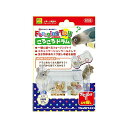 【3個セット】 三晃商会 フォージングトイ ころころドラム W 60 × D 40 H 40(mm) 36g デグー チンチラ 小鳥 バード・トイ 放鳥アイテム...
