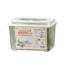 三晃商会 インコひな用 特製飼育セット 日本製 小鳥 小鳥ひな飼育用品 B52 サンコー SANKO インテリア 鳥用品 インコ 飼育ケース 収納 グッズ 家具 掃除 ペット ケージ 鳥かご 室内 鳥籠 用品 厳選素材 価格は1個のお値段です