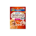 【48個セット】 ドギーマン ホワイデント ササミdeデンタル プレーン 70g 犬 おやつ 全犬種 生後2ヶ月から 日本製 ドギーマンハヤシ 犬用おやつ デン...
