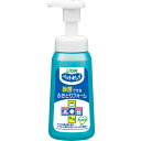 【6個セット】 ライオン ペットキレイ 除菌できるふきとりフォーム 本体 250ml 抗菌 犬・猫 LION ライオンペット ライオン商事 ワンちゃん お手入れ...