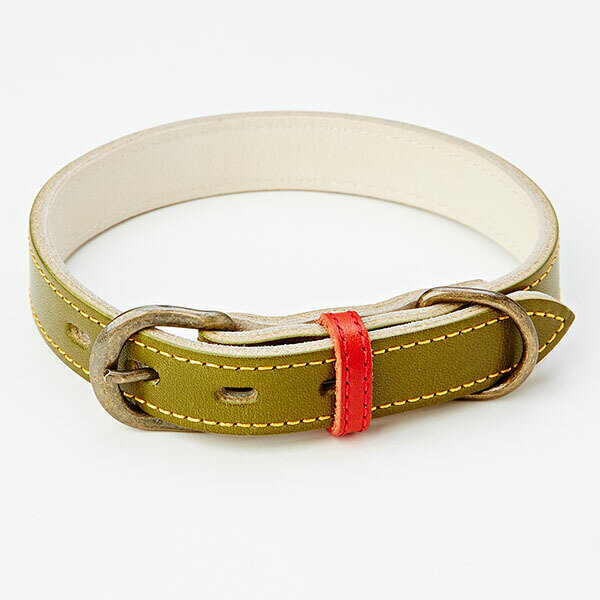 【3個セット】 ペティオ アドメイト アンティークレザースタイルカラー S グリーン ペット用品 ペティオアドメイト 中型犬用 平首輪 国産 カラー 皮革 ドッグ 小型犬 厳選素材のサムネイル