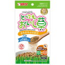 【6個セット】 サンライズ Nおいし草 さらさらふりかけ 40g 厳選素材