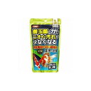 【6個セット】 金魚の主食納豆菌200g おまとめセット エサ えさ 餌 フード 金魚 きんぎょ