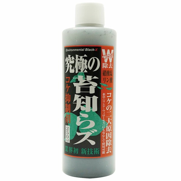 【20個セット】 ビーブラスト 究極の苔知らず リキッド 250ml B-blast