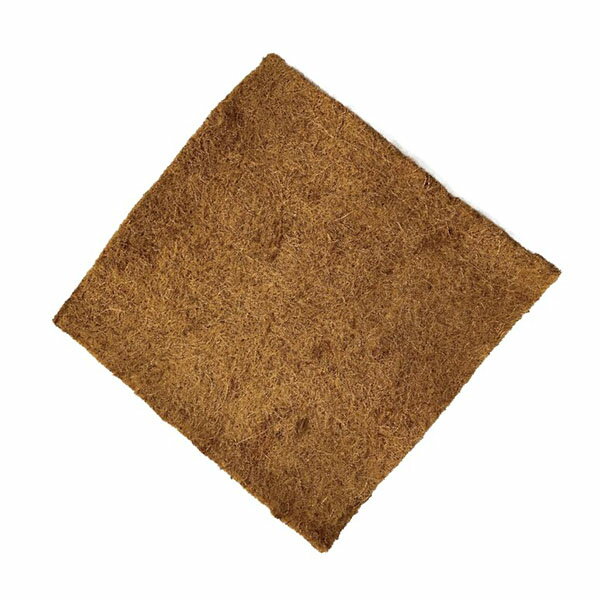 【6個セット】 川井 情熱 ほりほりココナッツランド