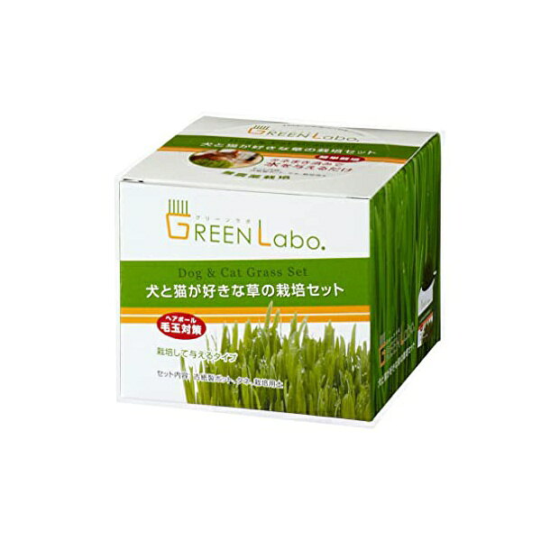 【6個セット】 エイムクリエイツ 犬と猫が好きな草の栽培セット