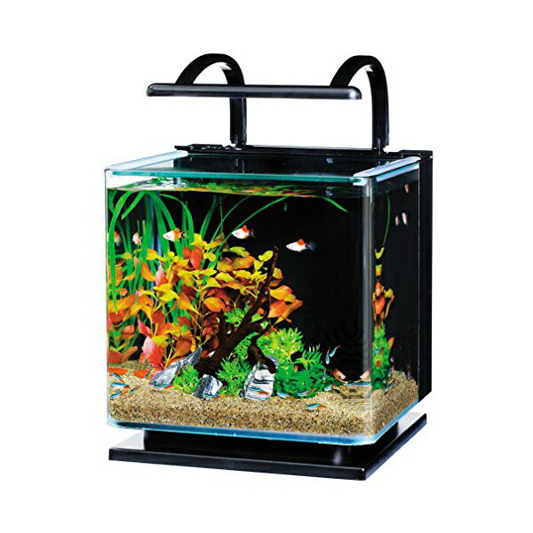 スペクトラム ブランズ ジャパン テトラ リビングキューブ 12